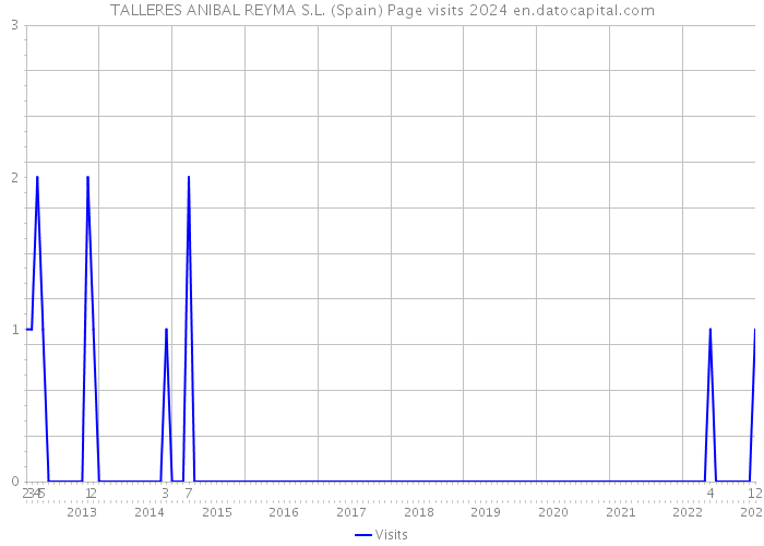 TALLERES ANIBAL REYMA S.L. (Spain) Page visits 2024 