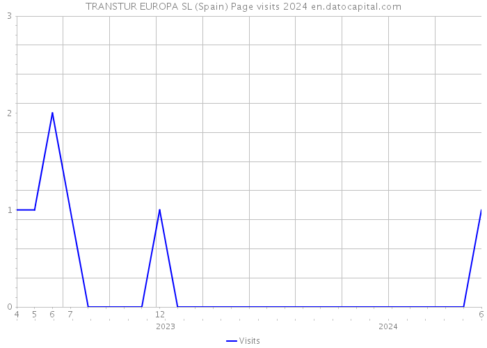 TRANSTUR EUROPA SL (Spain) Page visits 2024 