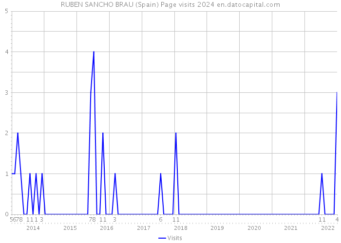RUBEN SANCHO BRAU (Spain) Page visits 2024 