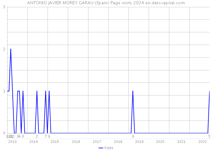 ANTONIO JAVIER MOREY GARAU (Spain) Page visits 2024 