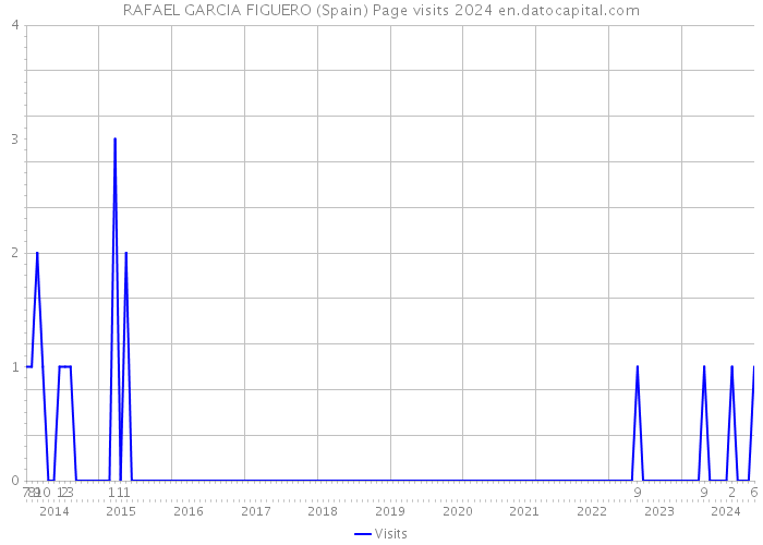 RAFAEL GARCIA FIGUERO (Spain) Page visits 2024 