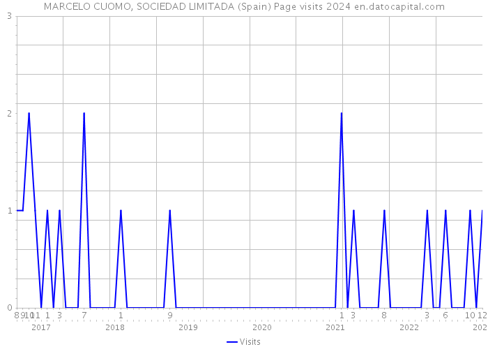 MARCELO CUOMO, SOCIEDAD LIMITADA (Spain) Page visits 2024 