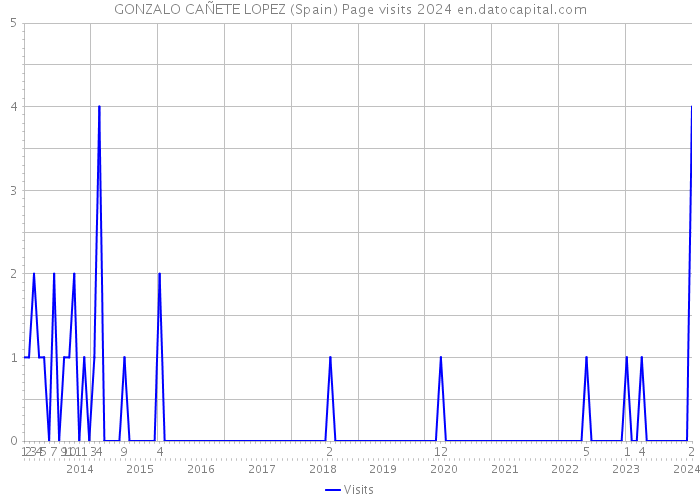 GONZALO CAÑETE LOPEZ (Spain) Page visits 2024 