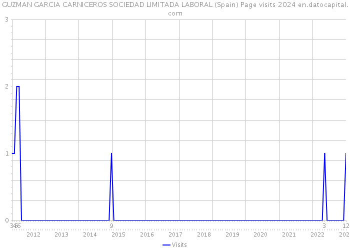 GUZMAN GARCIA CARNICEROS SOCIEDAD LIMITADA LABORAL (Spain) Page visits 2024 