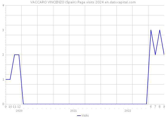 VACCARO VINCENZO (Spain) Page visits 2024 