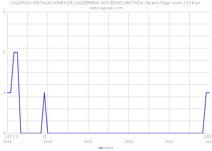 CALDINOX INSTALACIONES DE CALDERERIA SOCIEDAD LIMITADA (Spain) Page visits 2024 