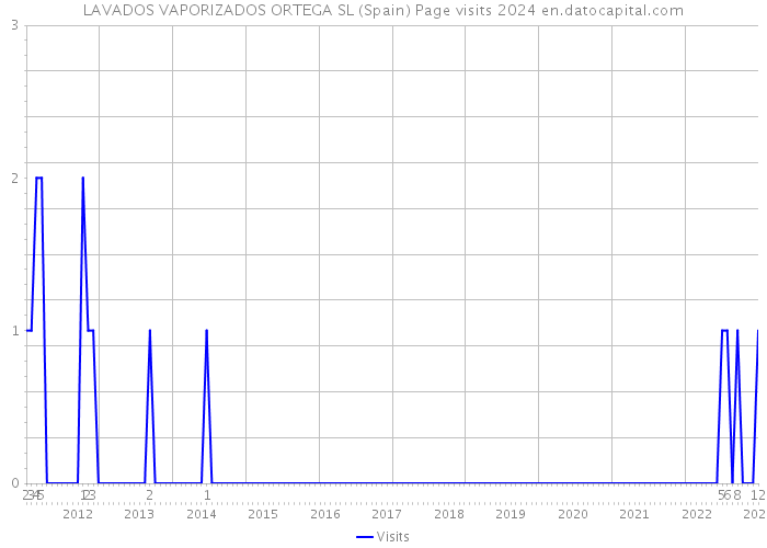 LAVADOS VAPORIZADOS ORTEGA SL (Spain) Page visits 2024 