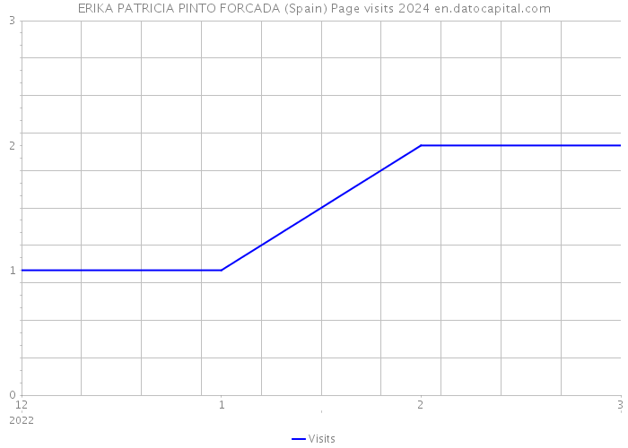 ERIKA PATRICIA PINTO FORCADA (Spain) Page visits 2024 