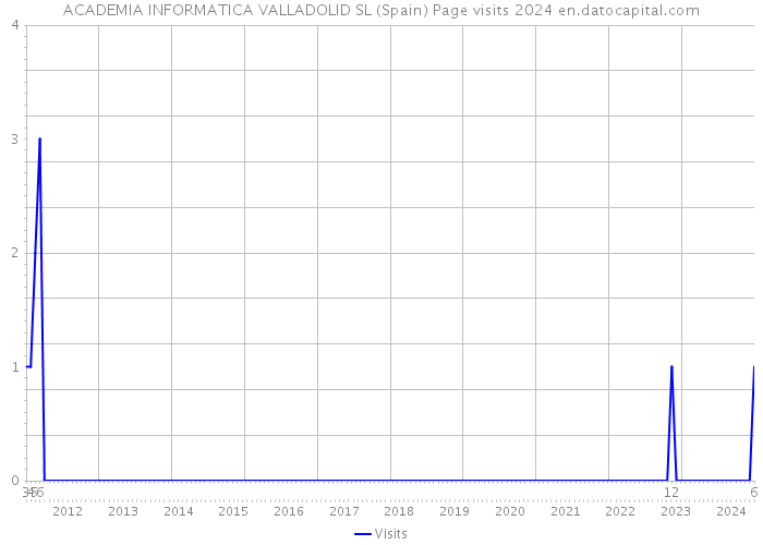 ACADEMIA INFORMATICA VALLADOLID SL (Spain) Page visits 2024 