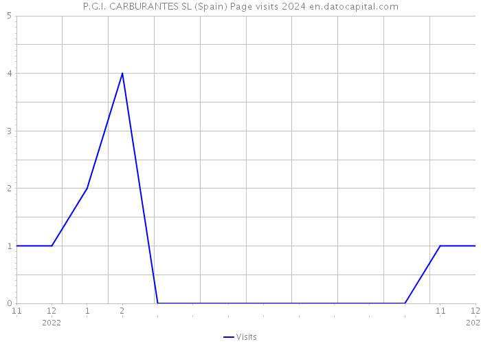 P.G.I. CARBURANTES SL (Spain) Page visits 2024 