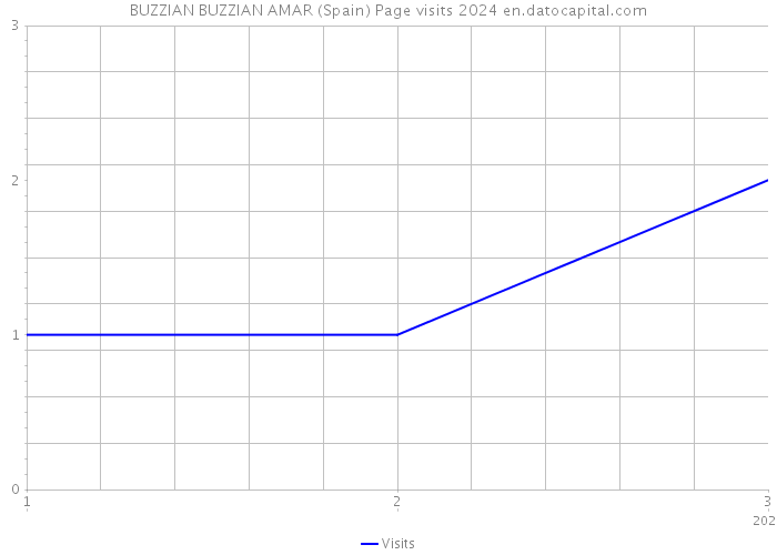 BUZZIAN BUZZIAN AMAR (Spain) Page visits 2024 