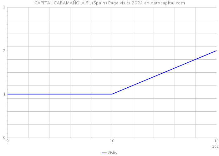 CAPITAL CARAMAÑOLA SL (Spain) Page visits 2024 