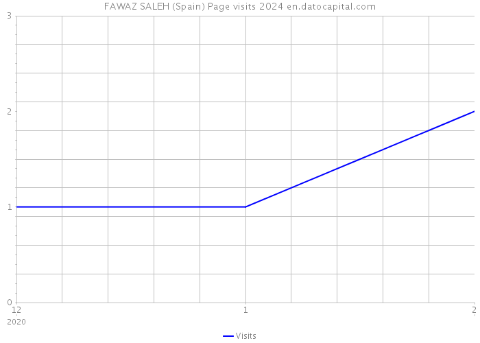 FAWAZ SALEH (Spain) Page visits 2024 