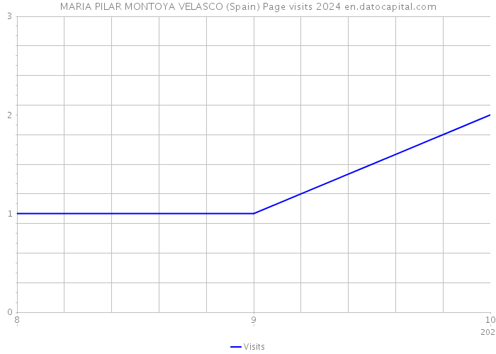 MARIA PILAR MONTOYA VELASCO (Spain) Page visits 2024 
