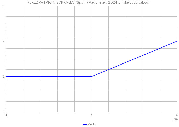 PEREZ PATRICIA BORRALLO (Spain) Page visits 2024 