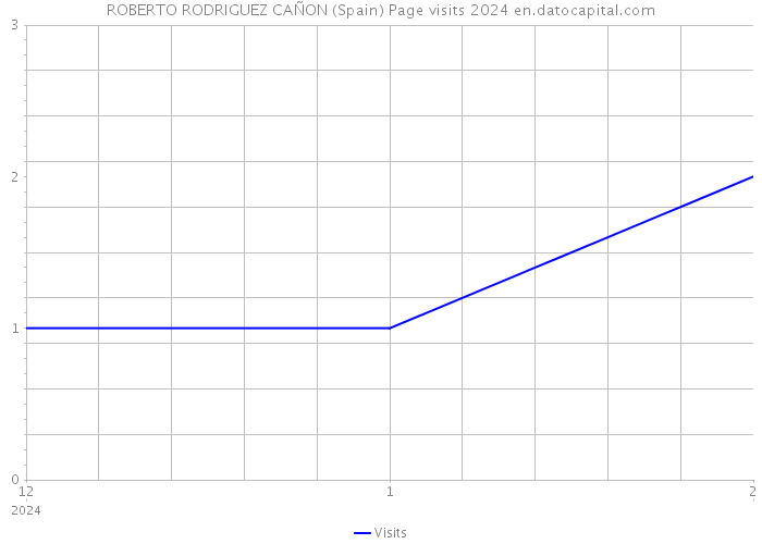ROBERTO RODRIGUEZ CAÑON (Spain) Page visits 2024 