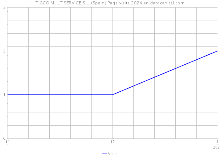 TIGCO MULTISERVICE S.L. (Spain) Page visits 2024 