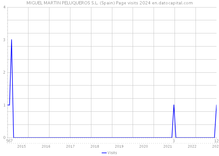 MIGUEL MARTIN PELUQUEROS S.L. (Spain) Page visits 2024 