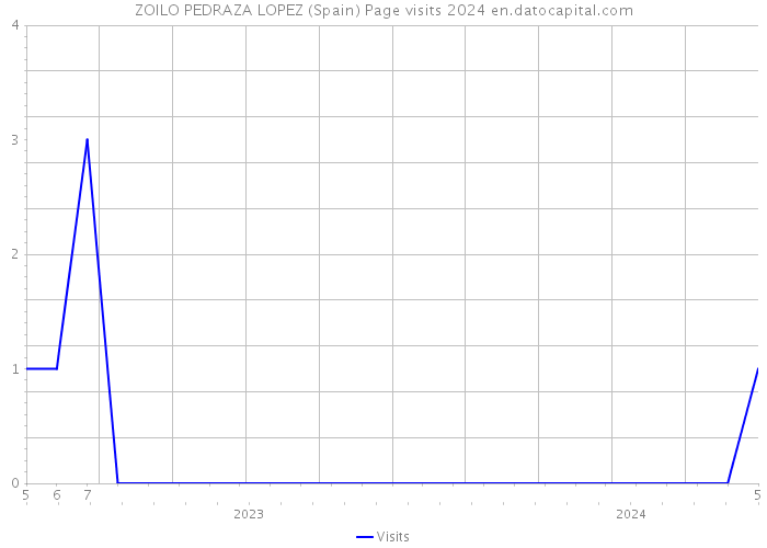 ZOILO PEDRAZA LOPEZ (Spain) Page visits 2024 
