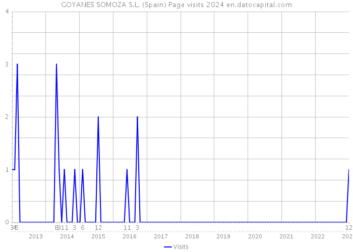 GOYANES SOMOZA S.L. (Spain) Page visits 2024 