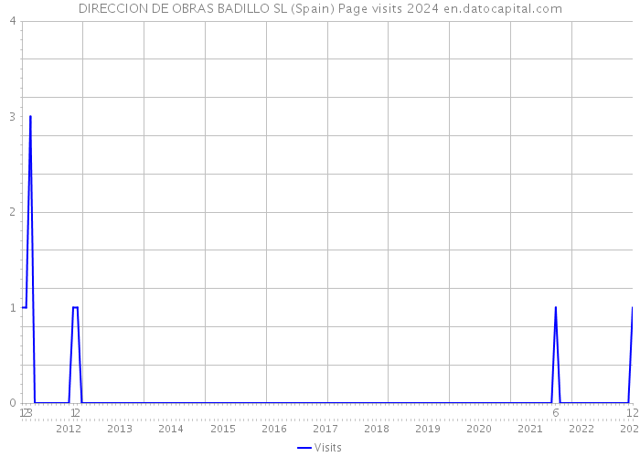 DIRECCION DE OBRAS BADILLO SL (Spain) Page visits 2024 