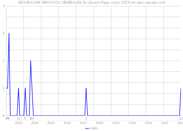 SEGURICARE SERVICIOS GENERALES SL (Spain) Page visits 2024 