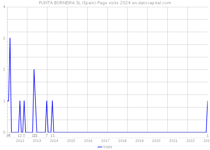 PUNTA BORNEIRA SL (Spain) Page visits 2024 