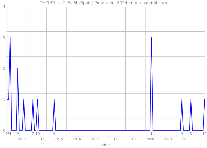 TAYLER NUCLEX SL (Spain) Page visits 2024 