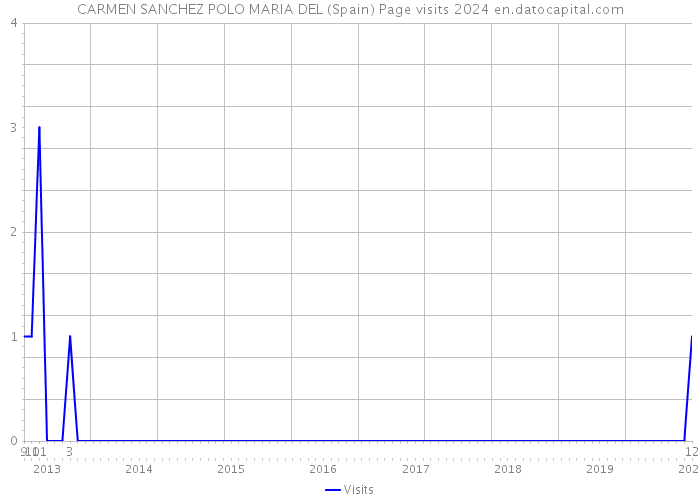CARMEN SANCHEZ POLO MARIA DEL (Spain) Page visits 2024 