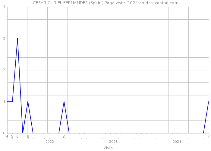 CESAR CURIEL FERNANDEZ (Spain) Page visits 2024 
