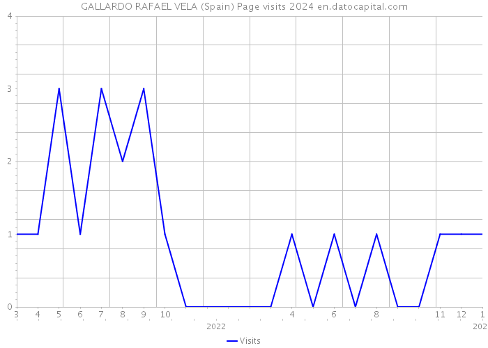 GALLARDO RAFAEL VELA (Spain) Page visits 2024 