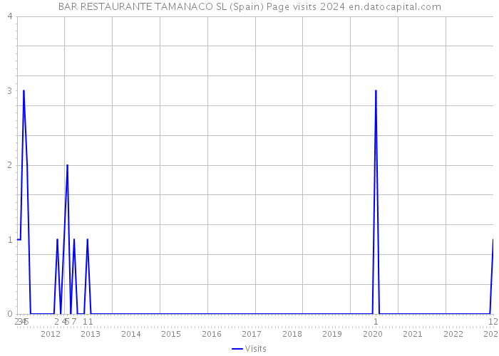 BAR RESTAURANTE TAMANACO SL (Spain) Page visits 2024 