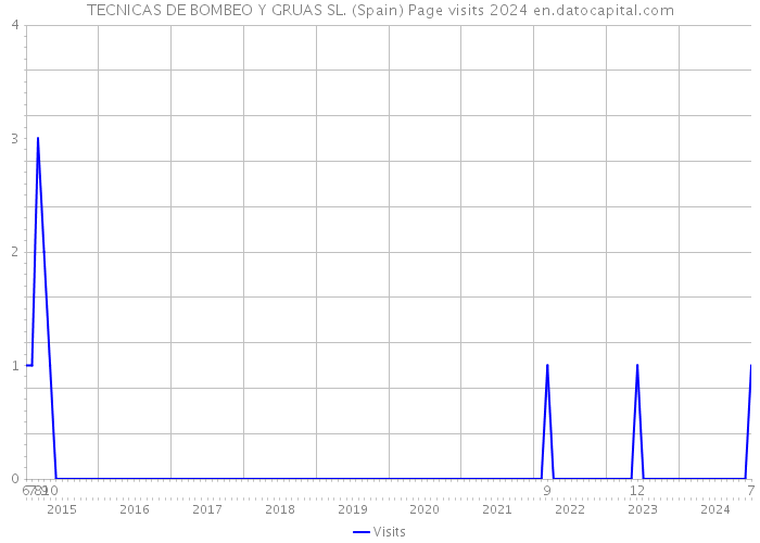 TECNICAS DE BOMBEO Y GRUAS SL. (Spain) Page visits 2024 