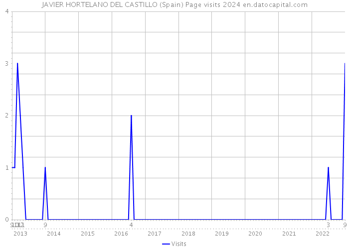 JAVIER HORTELANO DEL CASTILLO (Spain) Page visits 2024 