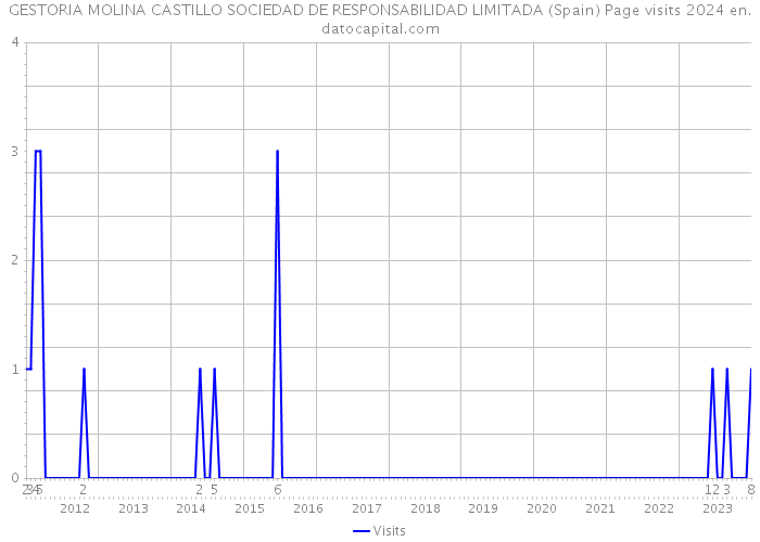 GESTORIA MOLINA CASTILLO SOCIEDAD DE RESPONSABILIDAD LIMITADA (Spain) Page visits 2024 