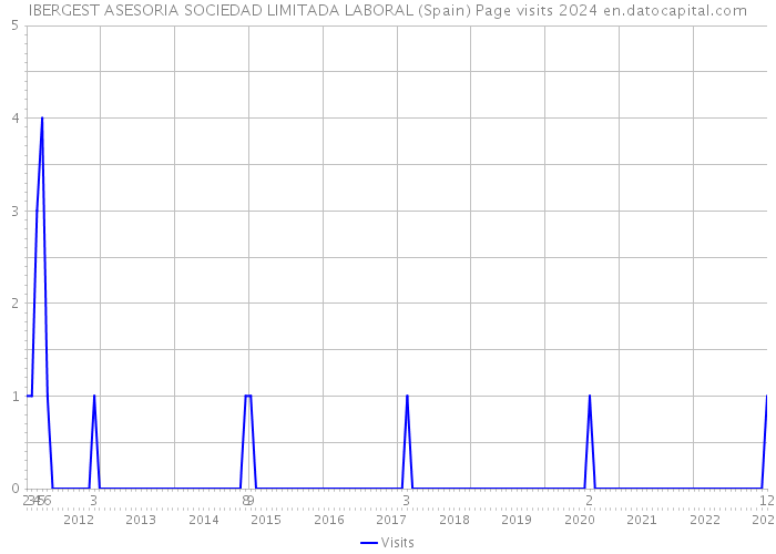 IBERGEST ASESORIA SOCIEDAD LIMITADA LABORAL (Spain) Page visits 2024 