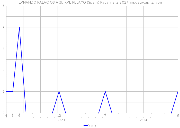 FERNANDO PALACIOS AGUIRRE PELAYO (Spain) Page visits 2024 