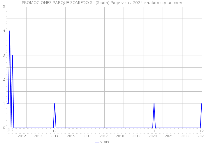 PROMOCIONES PARQUE SOMIEDO SL (Spain) Page visits 2024 