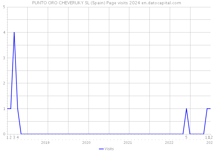 PUNTO ORO CHEVERUKY SL (Spain) Page visits 2024 