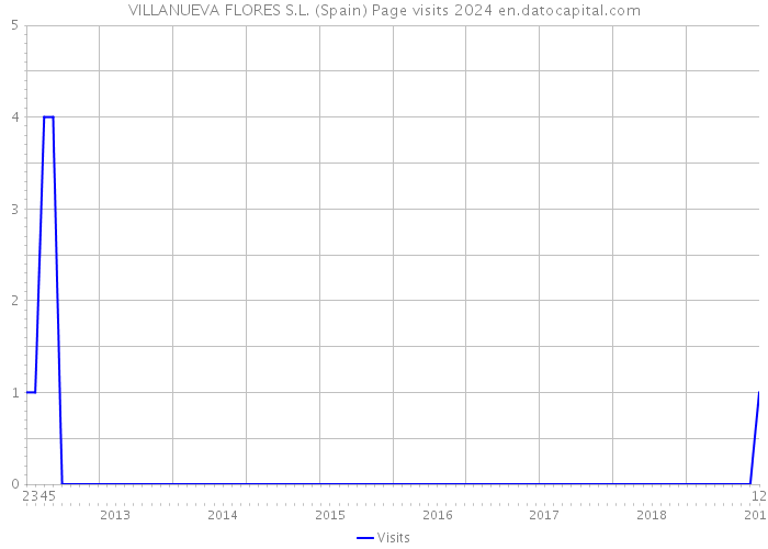 VILLANUEVA FLORES S.L. (Spain) Page visits 2024 