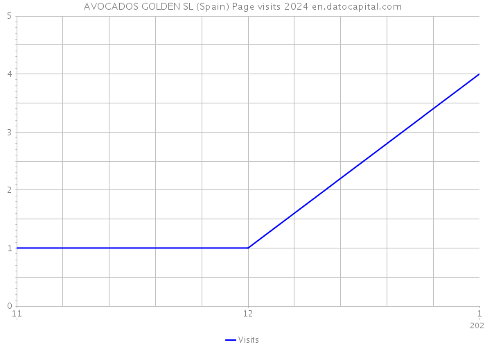AVOCADOS GOLDEN SL (Spain) Page visits 2024 