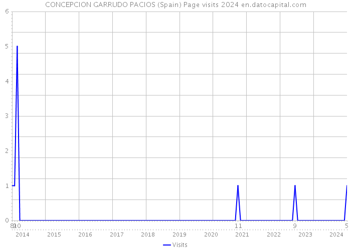 CONCEPCION GARRUDO PACIOS (Spain) Page visits 2024 