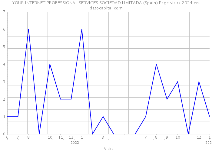 YOUR INTERNET PROFESSIONAL SERVICES SOCIEDAD LIMITADA (Spain) Page visits 2024 