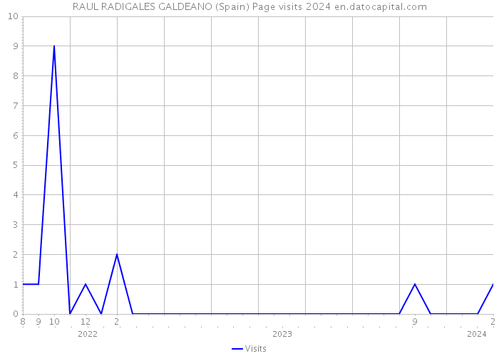 RAUL RADIGALES GALDEANO (Spain) Page visits 2024 