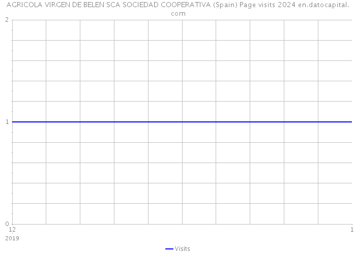 AGRICOLA VIRGEN DE BELEN SCA SOCIEDAD COOPERATIVA (Spain) Page visits 2024 