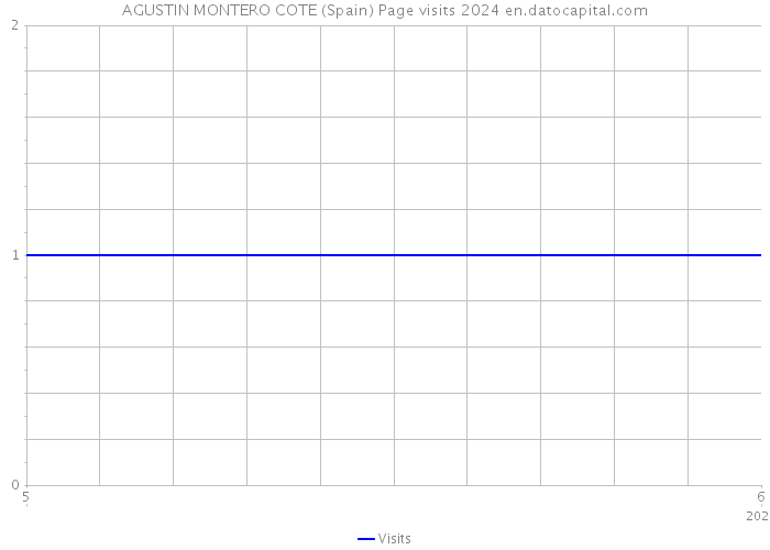 AGUSTIN MONTERO COTE (Spain) Page visits 2024 