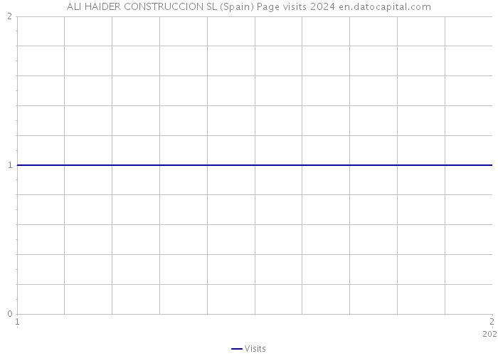 ALI HAIDER CONSTRUCCION SL (Spain) Page visits 2024 