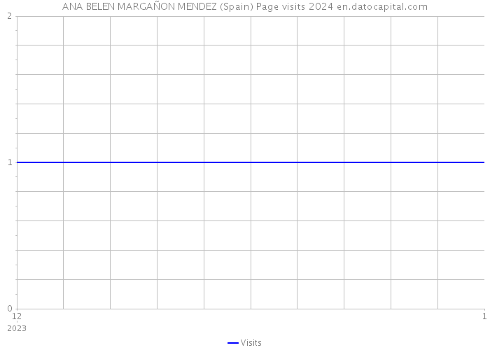ANA BELEN MARGAÑON MENDEZ (Spain) Page visits 2024 