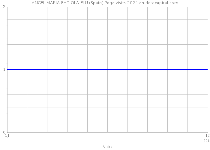 ANGEL MARIA BADIOLA ELU (Spain) Page visits 2024 