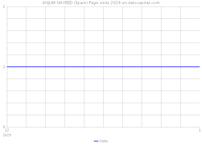 ANJUM NAVEED (Spain) Page visits 2024 
